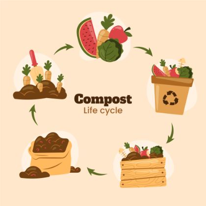 Compostaggio domestico dei rifiuti organici Compostaggio domestico dei rifiuti organici